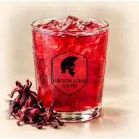 Iced Hibiscus Tea (Şekersiz)